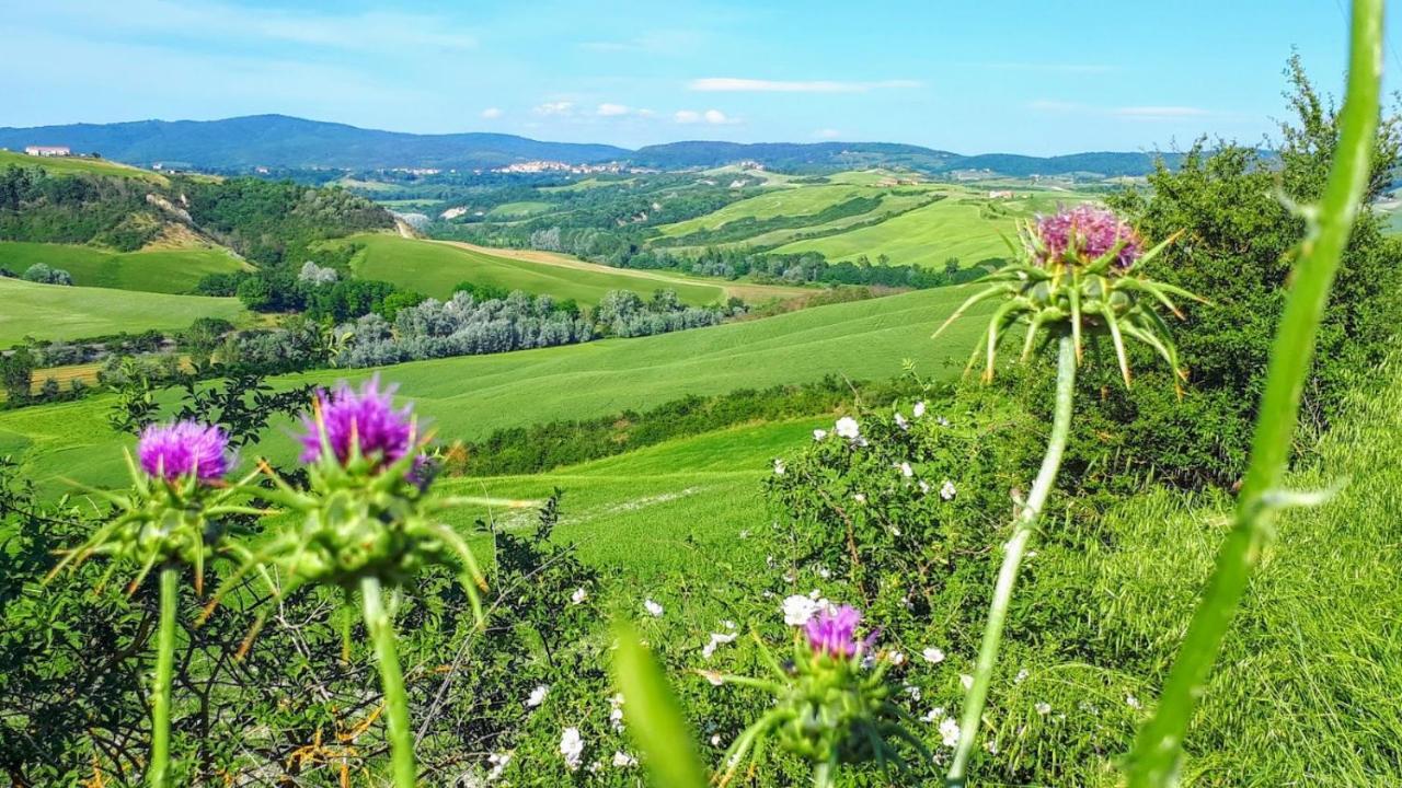 Casa Soleluna B&B Cortona Exterior photo